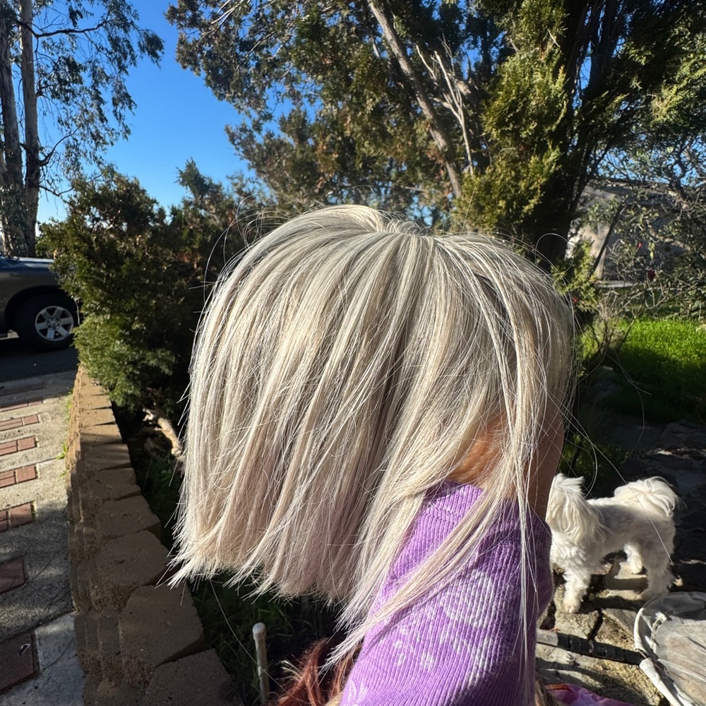 Silver Blonde topper